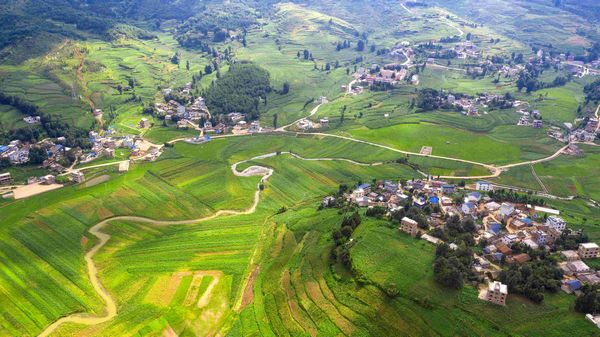 法律科普 | 农村集体资产归谁所有