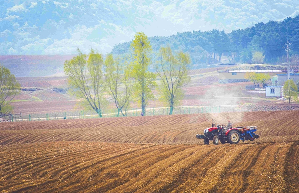 法律科普 | 一般耕地上到底能不能建设养殖场