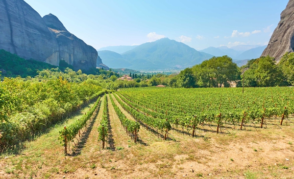 法律科普 | 遭遇以租代征,中恒信教你三步维权